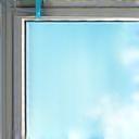 Window Washing Service